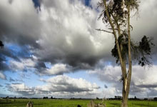 包含德约科维奇连续十五场比赛得分超过表现优异，阿森纳不断突破！气势如虹延续的词条